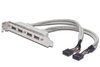 ASSMANN USB 2.0 Slotblechkabel 4x Typ A / 2x 10 pin IDC